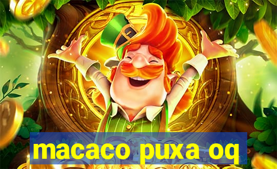 macaco puxa oq